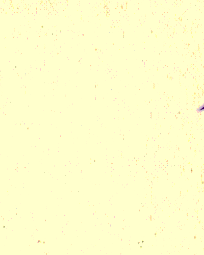Voeux 2022 *si vous ne visualisez pas bien l'animation cliquez sur le lien ci dessous